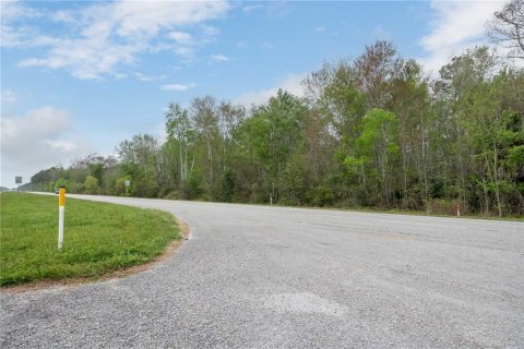 Land in Gainesville, Florida № 1812850 - photo 10