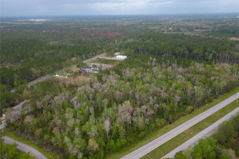 Land in Gainesville, Florida № 1812850 - photo 3