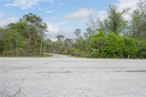 Land in Gainesville, Florida № 1812850 - photo 9