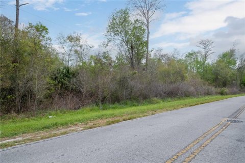 Land in Gainesville, Florida № 1812850 - photo 7