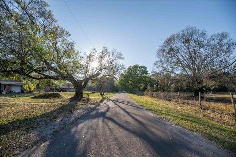 Land in Brandon, Florida № 1677018 - photo 4