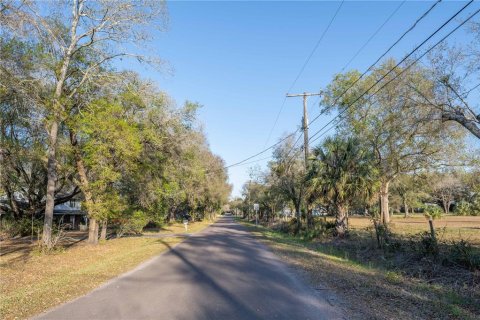 Land in Brandon, Florida № 1677018 - photo 10