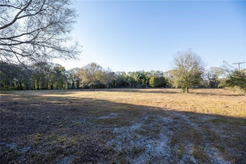 Land in Brandon, Florida № 1677018 - photo 8