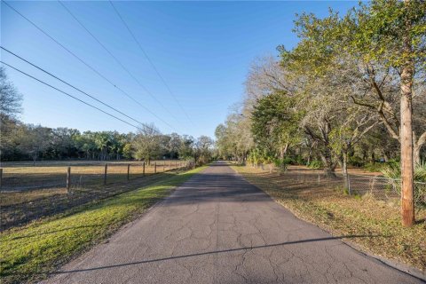 Land in Brandon, Florida № 1677018 - photo 3