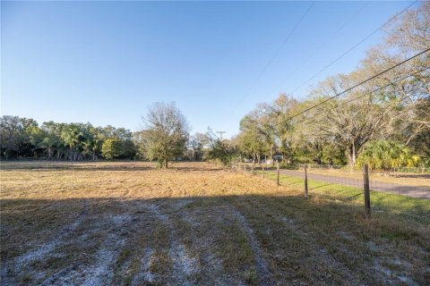 Land in Brandon, Florida № 1677018 - photo 6