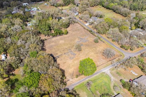 Land in Brandon, Florida № 1677018 - photo 11