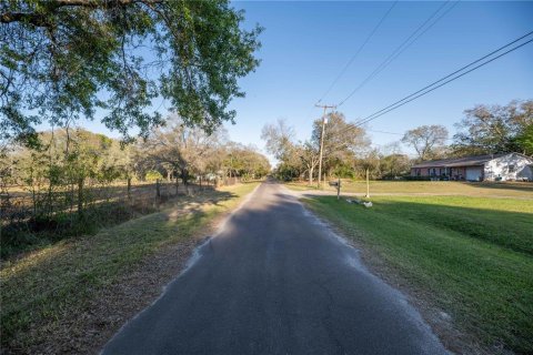 Land in Brandon, Florida № 1677018 - photo 5