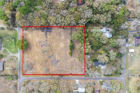 Land in Brandon, Florida № 1677018 - photo 16