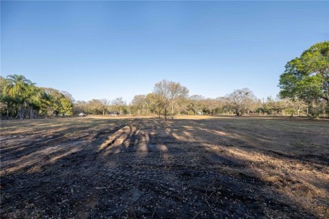 Land in Brandon, Florida № 1677018 - photo 9