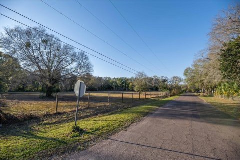 Land in Brandon, Florida № 1677018 - photo 2