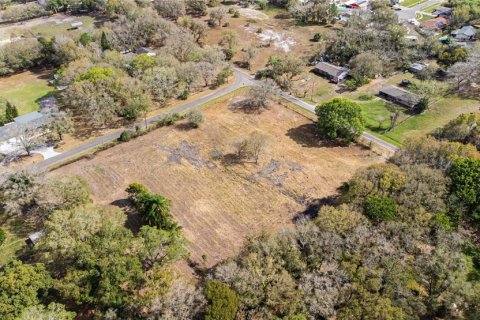 Land in Brandon, Florida № 1677018 - photo 13