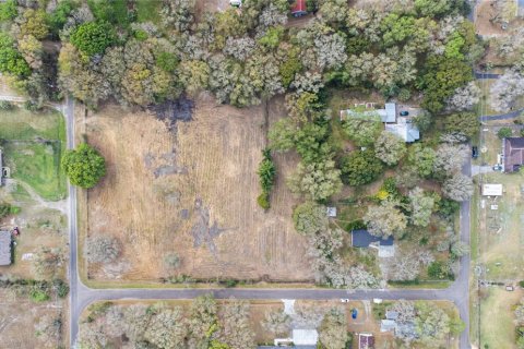Land in Brandon, Florida № 1677018 - photo 17