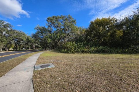 Terrain à Kissimmee, Floride № 2329122