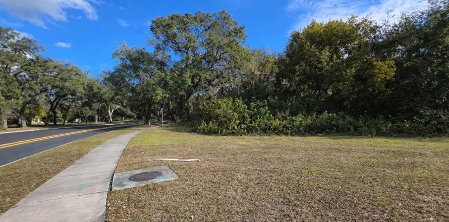 Terrain à Kissimmee, Floride № 2329122