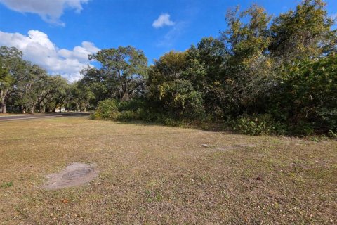 Terrain à vendre à Kissimmee, Floride № 2329122 - photo 3