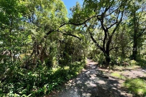 Land in Clearwater, Florida № 1901021 - photo 1