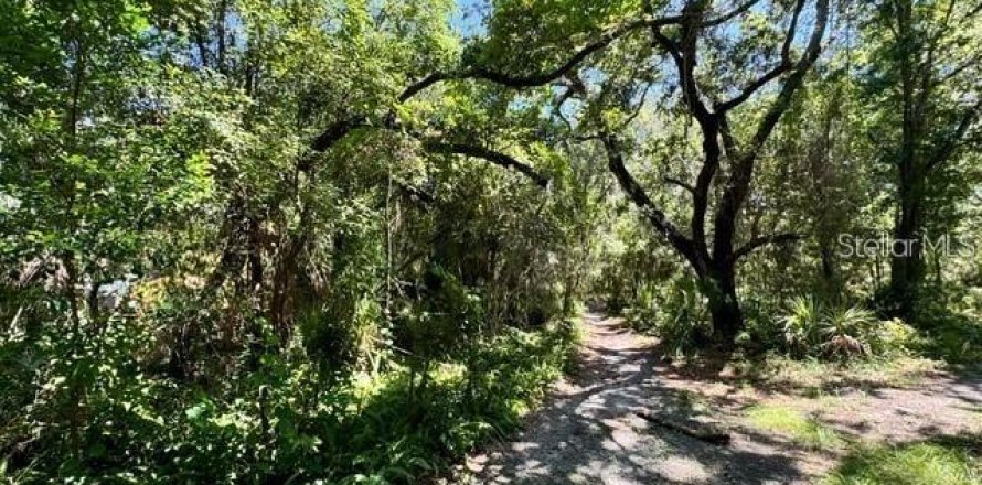 Terreno en Clearwater, Florida № 1901021