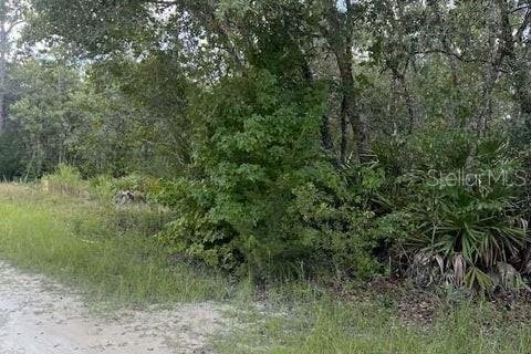 Terreno en venta en Weeki Wachee, Florida № 1884580 - foto 5