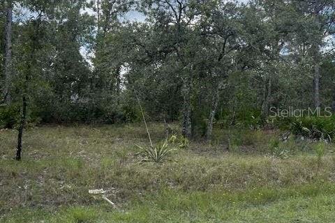 Terreno en venta en Weeki Wachee, Florida № 1884580 - foto 6
