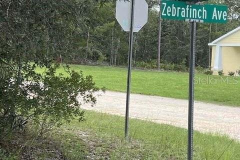 Terreno en venta en Weeki Wachee, Florida № 1884580 - foto 2