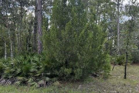 Terreno en venta en Weeki Wachee, Florida № 1884580 - foto 7