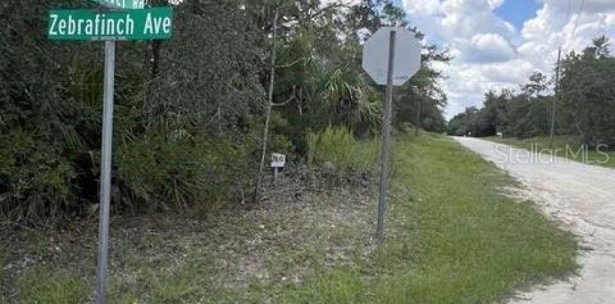 Terreno en Weeki Wachee, Florida № 1884580
