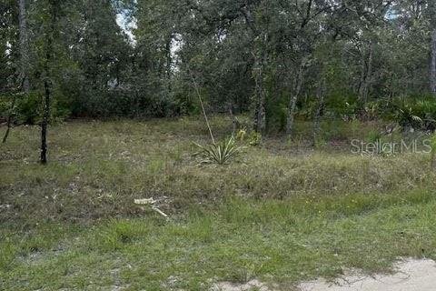 Terreno en venta en Weeki Wachee, Florida № 1884580 - foto 3