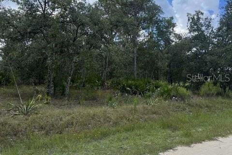 Terreno en venta en Weeki Wachee, Florida № 1884580 - foto 4