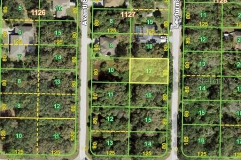 Land in Port Charlotte, Florida № 2163324
