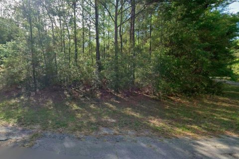 Terrain à Dunnellon, Floride № 2222541