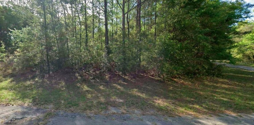 Terrain à Dunnellon, Floride № 2222541