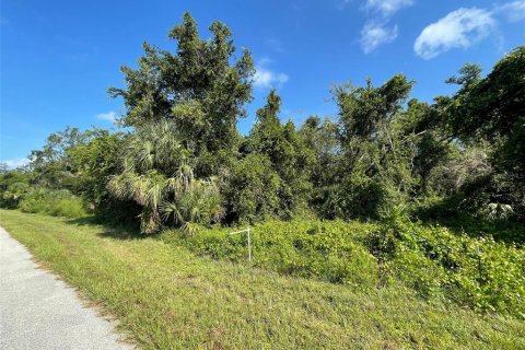 Land in Port Charlotte, Florida № 2165740