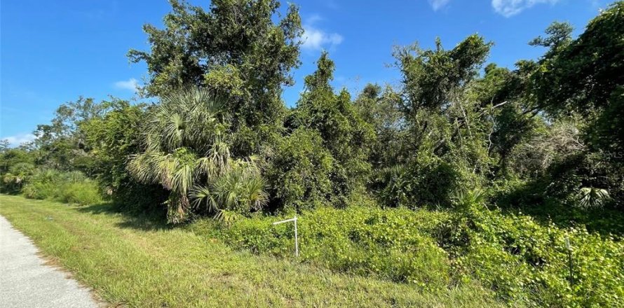 Land in Port Charlotte, Florida № 2165740