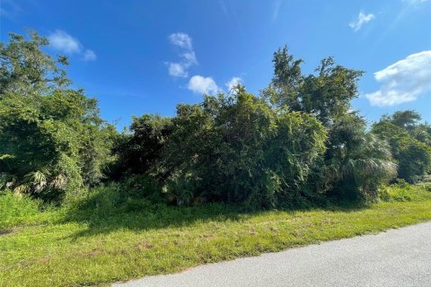 Land in Port Charlotte, Florida № 2165740 - photo 2