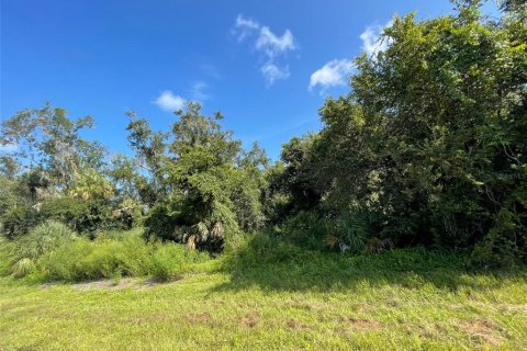 Land in Port Charlotte, Florida № 2165740 - photo 3