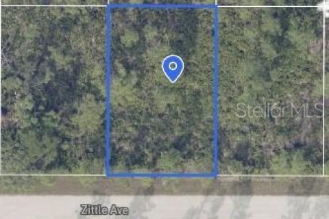 Land in Port Charlotte, Florida № 2159696 - photo 2