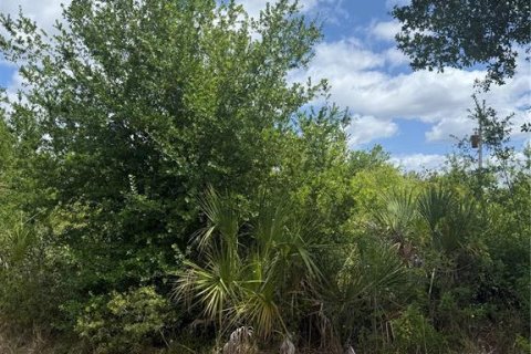 Land in Port Charlotte, Florida № 2159696