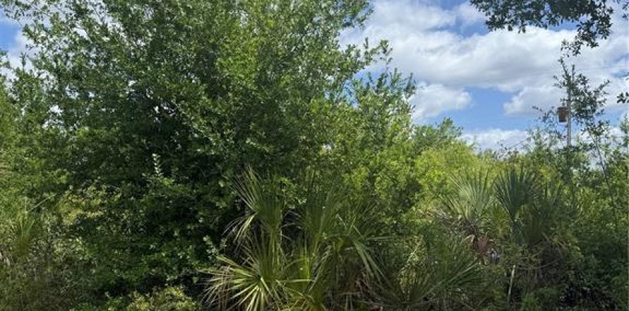 Land in Port Charlotte, Florida № 2159696