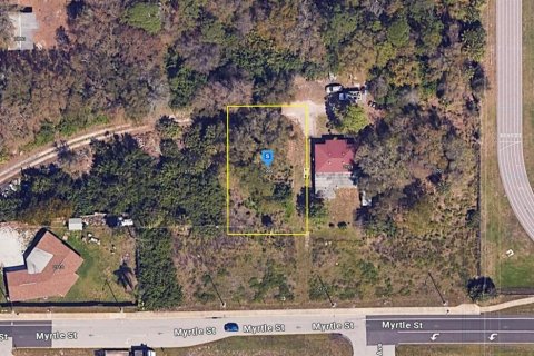 Land in Sarasota, Florida № 1801538 - photo 1