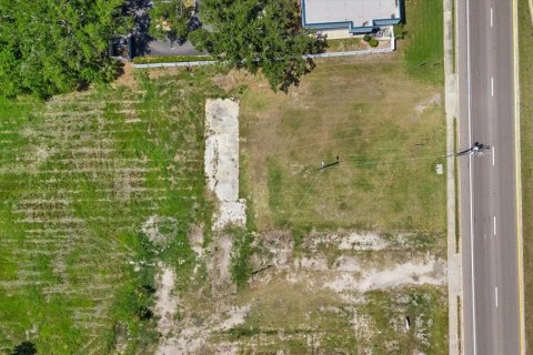 Propiedad comercial en venta en Ruskin, Florida № 2097872 - foto 8
