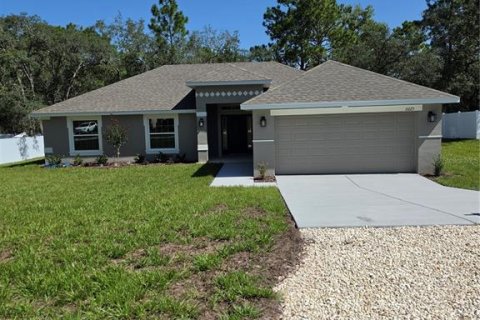 Villa ou maison à Weeki Wachee, Floride 4 chambres, 163.04 m2 № 2237043