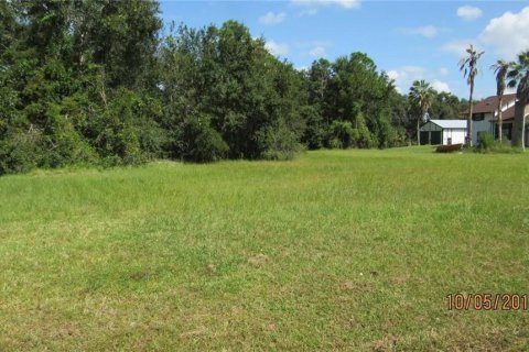 Land in Kissimmee, Florida № 2209870