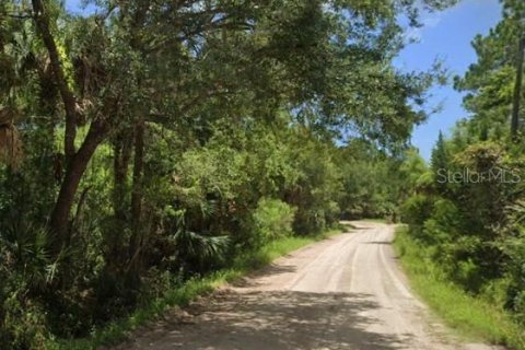 Terrain à Bunnell, Floride № 2224246