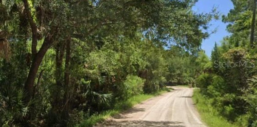 Terrain à Bunnell, Floride № 2224246