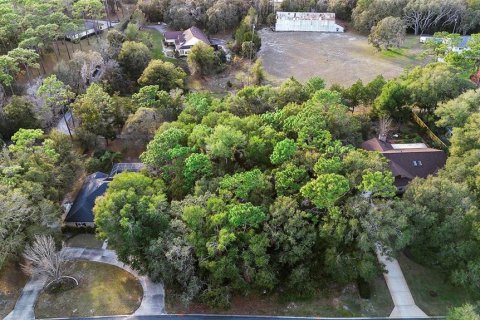 Купить земельный участок в Деланд, Флорида № 1524875 - фото 3
