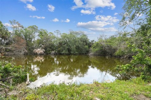 Immobilier commercial à vendre à New Port Richey, Floride: 4 chambres, 167.22 m2 № 1716806 - photo 11