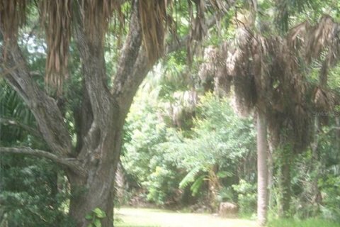 Immobilier commercial à vendre à New Port Richey, Floride: 4 chambres, 167.22 m2 № 1716806 - photo 6