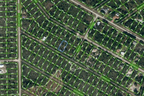 Land in Lake Placid, Florida № 2209115