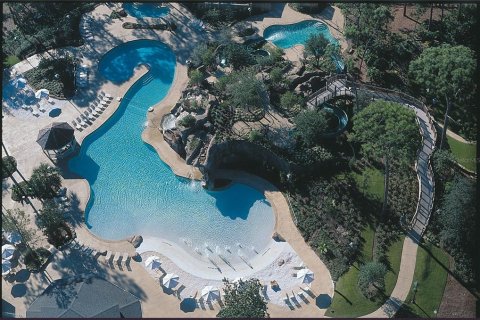 Condo in Palm Harbor, Florida, 1 bedroom  № 1419395 - photo 27
