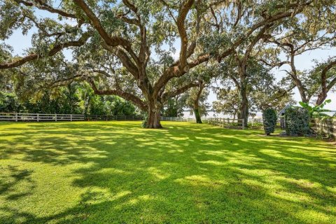 House in Weirsdale, Florida 2 bedrooms, 203.83 sq.m. № 2423969 - photo 7